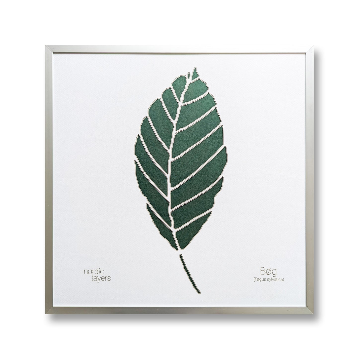 Bøg - Danish Leaf Collection (32x32 cm)