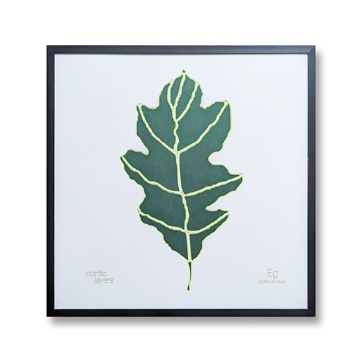 Eg - Danish Leaf Collection (32x32 cm)