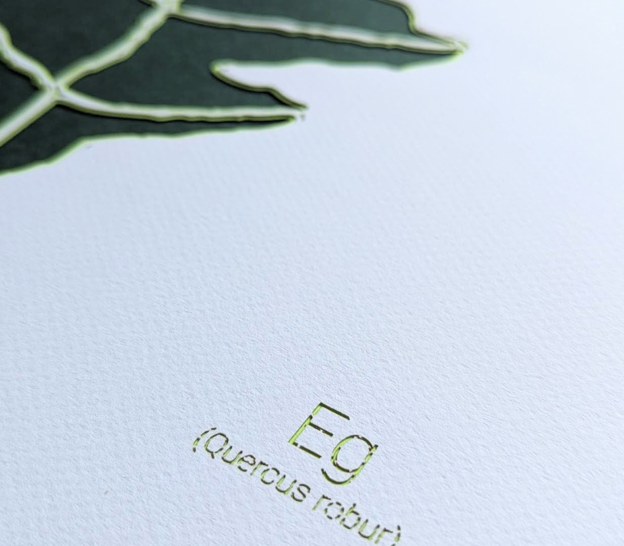 Eg - Danish Leaf Collection (32x32 cm)